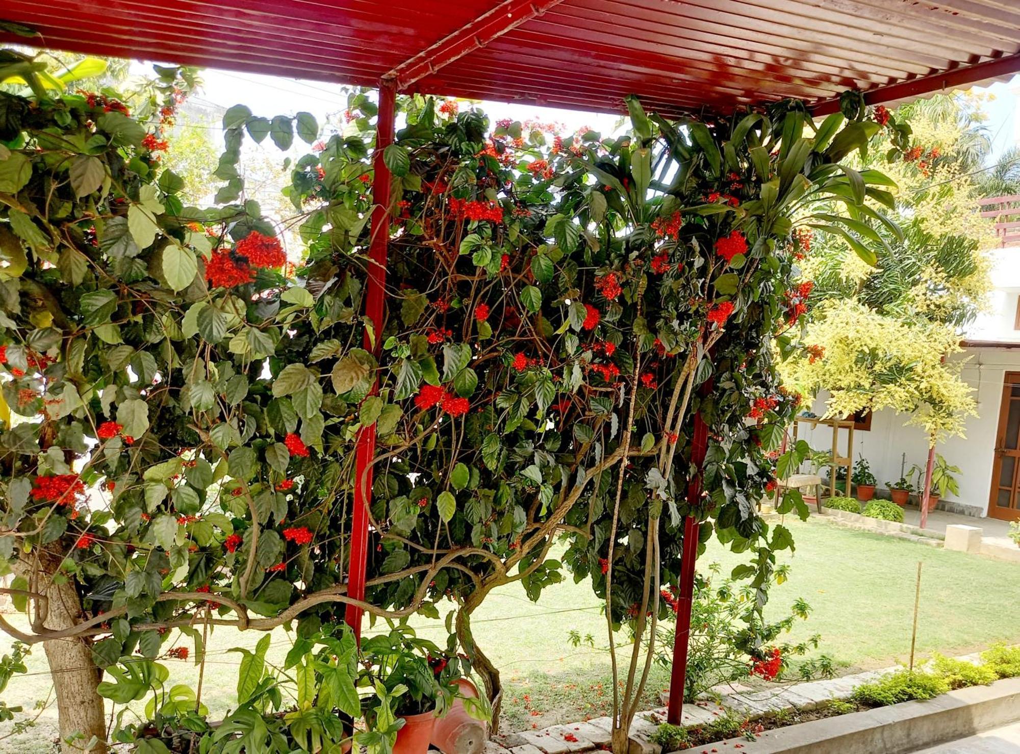 Garden View Residency Bed & Breakfast Лакнау Екстериор снимка